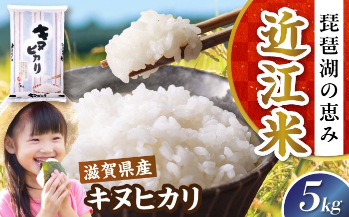 近江米 キヌヒカリ きぬひかり 滋賀県産 国産 5kg 米 コメ お米 白米 ご飯 おにぎり ご飯のお供 カレー 丼