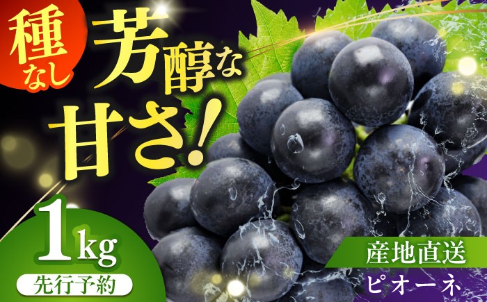 ぶどう ブドウ ぴおーね ピオーネ 葡萄 フルーツ