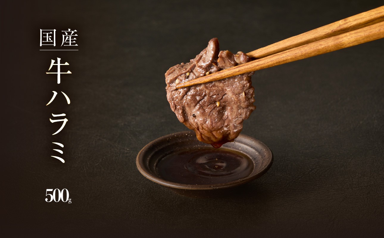 「京都人気焼肉店」貴重！肉汁溢れる 国産牛ハラミ 500g