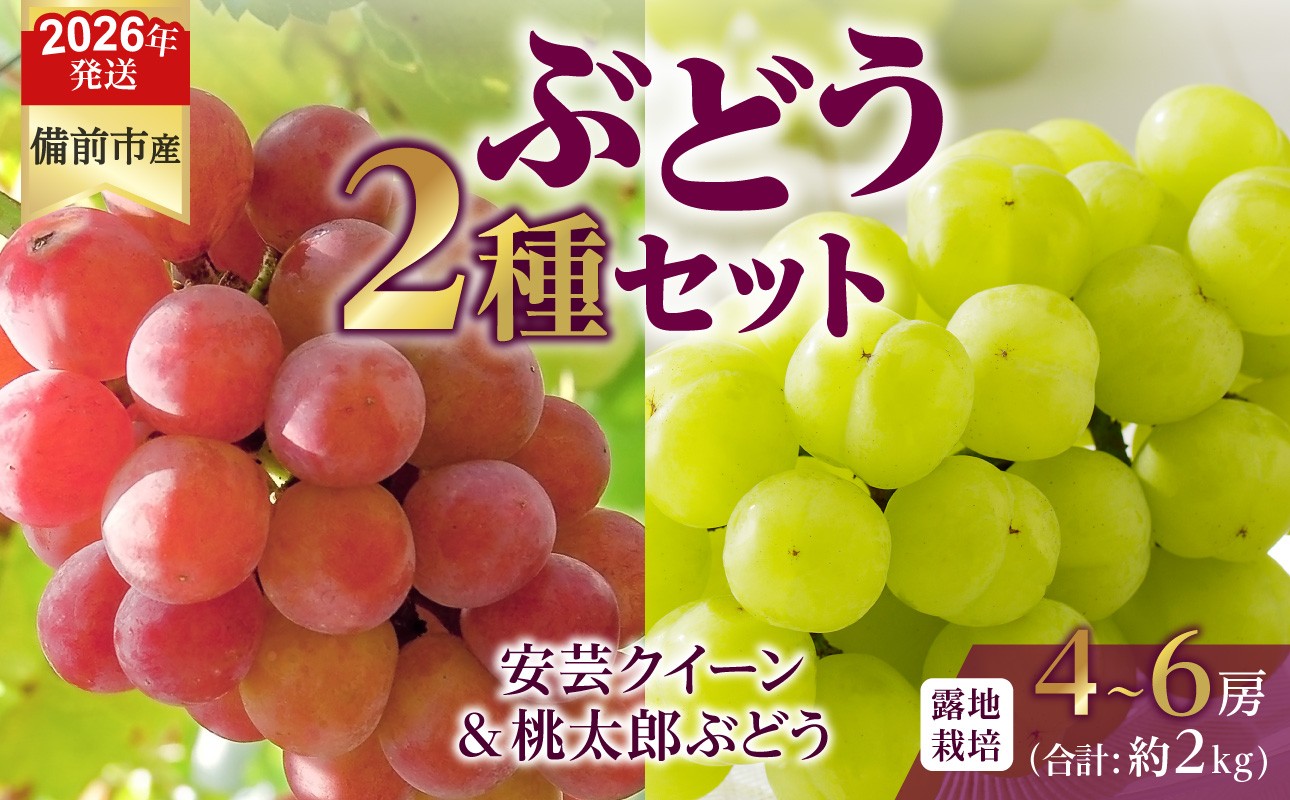 写真はイメージです