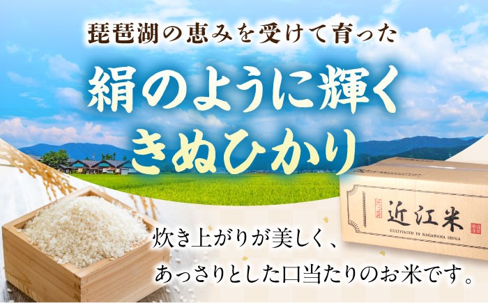 近江米 キヌヒカリ きぬひかり 滋賀県産 国産 5kg 米 コメ お米 白米 ご飯 おにぎり ご飯のお供 カレー 丼