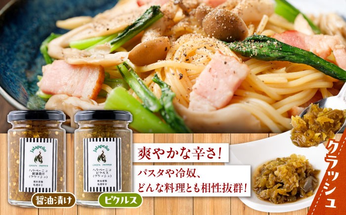 ハラペーニョ  8種食べくらべセット はらぺーにょ 醤油漬け ピクルス 漬物 たれ 唐辛子 調味料 旨辛 熊本 菊陽町