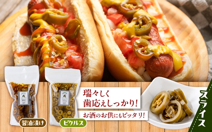 はらぺーにょ 醤油漬け ハラペーニョ ピクルス 唐辛子 調味料 2種 セット 菊陽町 熊本県