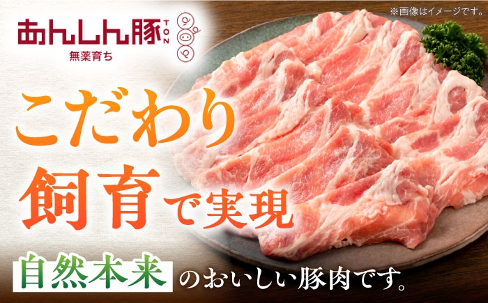こだわり抜いた飼育で自然本来の美味しい豚肉をお届けいたします。