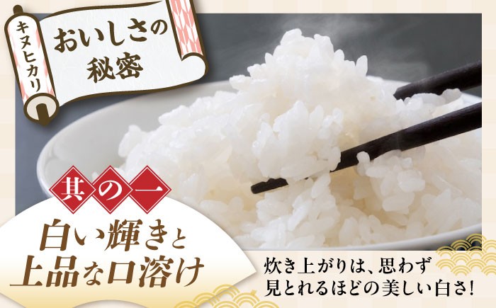 近江米 キヌヒカリ きぬひかり 滋賀県産 国産 10kg 米 コメ お米 白米 ご飯 おにぎり ご飯のお供 カレー 丼