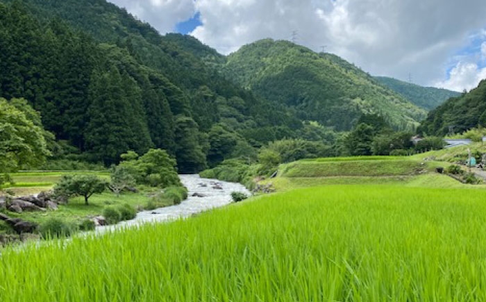 塩糀 塩麹 糀 麹 調味料 国産 和食 塩味料 熟成 離乳食 味付け セット 贈答 ギフト おすすめ 人気 岐阜県 恵那市