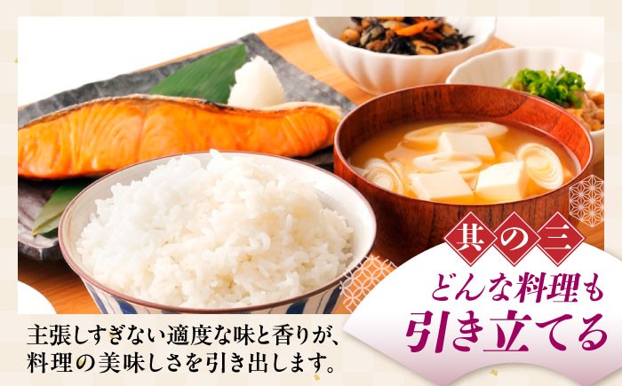 近江米 キヌヒカリ きぬひかり 滋賀県産 国産 10kg 米 コメ お米 白米 ご飯 おにぎり ご飯のお供 カレー 丼