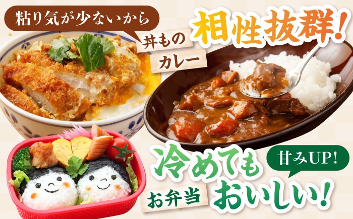 近江米 キヌヒカリ きぬひかり 滋賀県産 国産 10kg 米 コメ お米 白米 ご飯 おにぎり ご飯のお供 カレー 丼