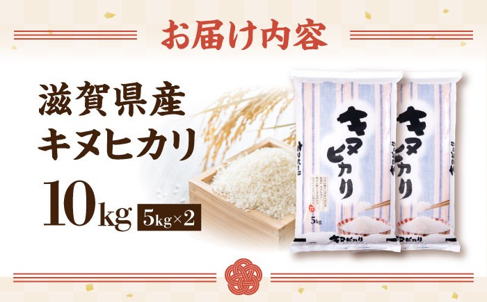 近江米 キヌヒカリ きぬひかり 滋賀県産 国産 10kg 米 コメ お米 白米 ご飯 おにぎり ご飯のお供 カレー 丼