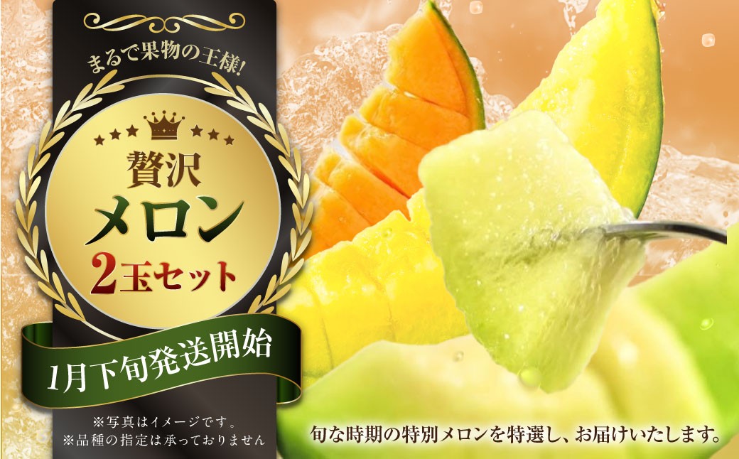『まるで果物の王様！贅沢メロン』 2玉セット 