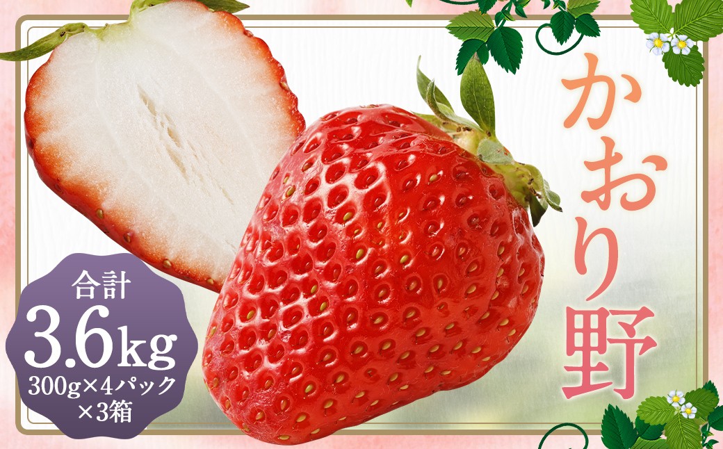 いちご「かおり野」プレミアム 約3.6kg＜300g×4パック＞3箱 計12パック 