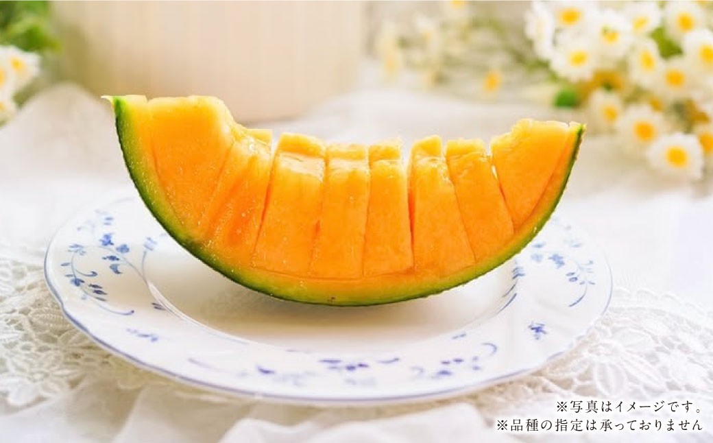 『まるで果物の王様！贅沢メロン』 2玉セット 