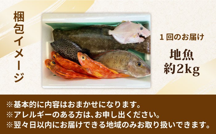 旬 おまかせ 定期便 鮮魚セット 地魚 魚 鮮魚 刺身 セット 詰め合わせ