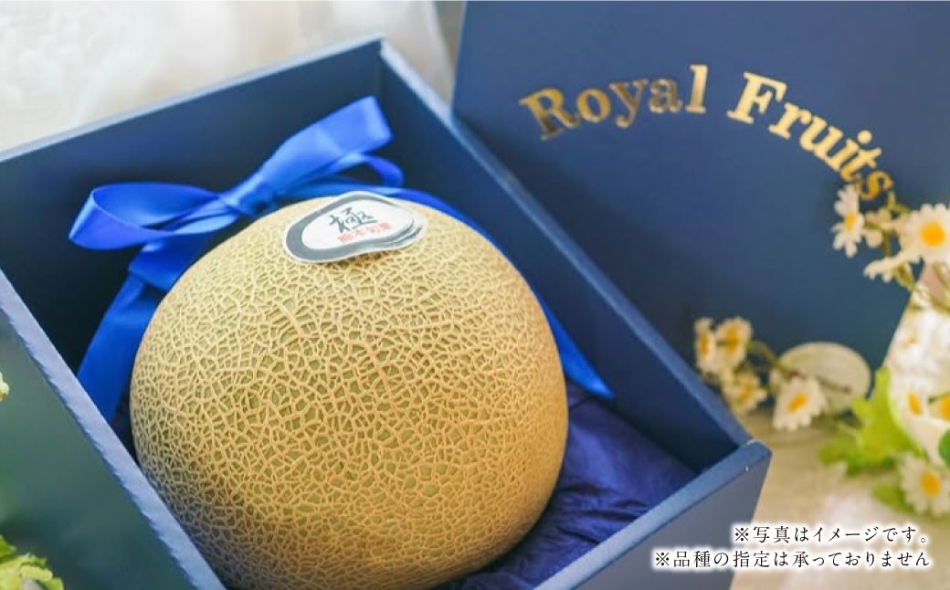 『まるで果物の王様！贅沢メロン』 2玉セット 