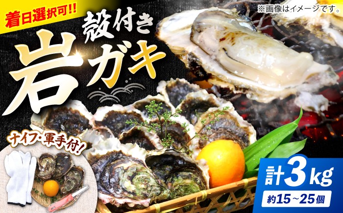 牡蠣 岩ガキ 約3kg（約15個～25個）便利なナイフ・軍手付き♪  ＜ハマフジ水産＞