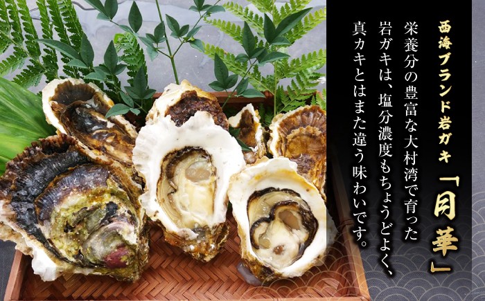 牡蠣 岩ガキ 約 2kg （約10個～20個）便利なナイフ・軍手付き♪  ＜ハマフジ水産＞