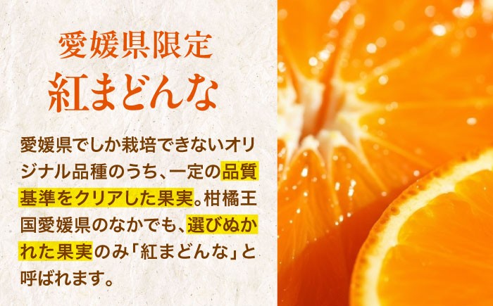 みかん オレンジ フルーツ ミカン 果物 愛媛みかん くだもの 愛媛県産みかん 紅まどんな まどんな マドンナ 紅マドンナ 