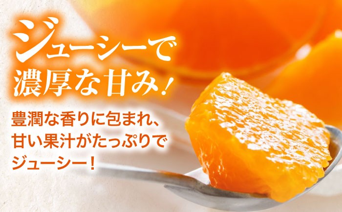 紅まどんな 赤秀 3個入（JA愛媛たいき管内産）