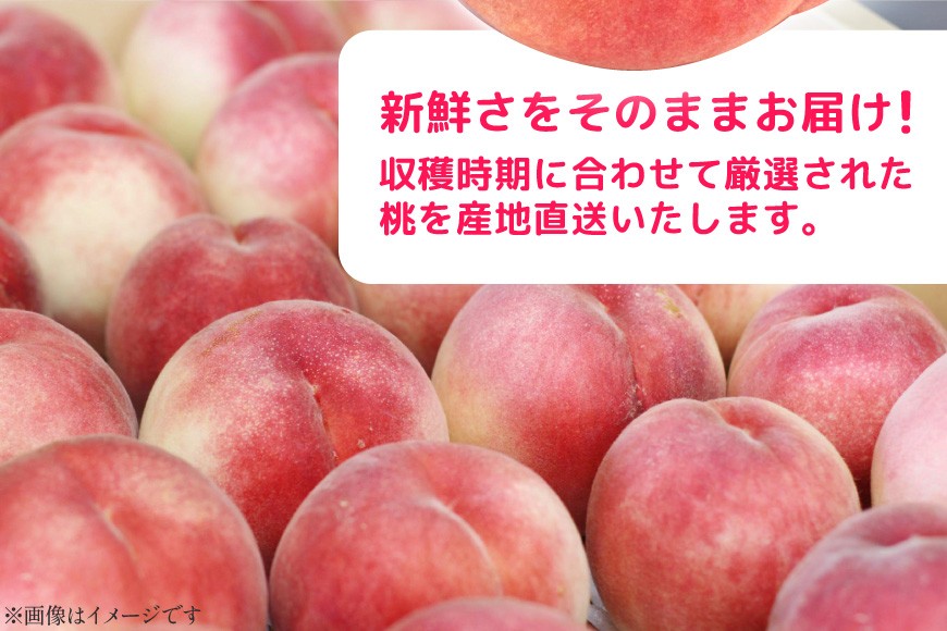 ９～11玉その時期のおすすめの品種をお届けします（大玉８個の場合もあります）