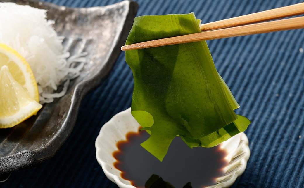 大阪産 塩わかめ 100g×5袋 合計500g