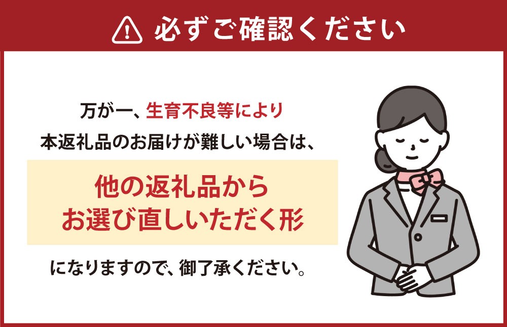 【2024年1月下旬発送開始】にべさんちの苺 熊本県産イチゴ桃薫(とうくん) 約400g
