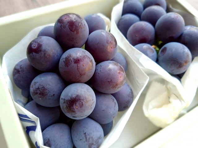 画像はイメージです。