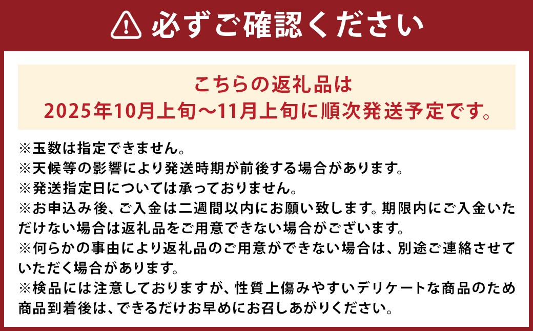 太秋柿 約3kg 8～16玉入り 柿 カキ 太秋 たいしゅう