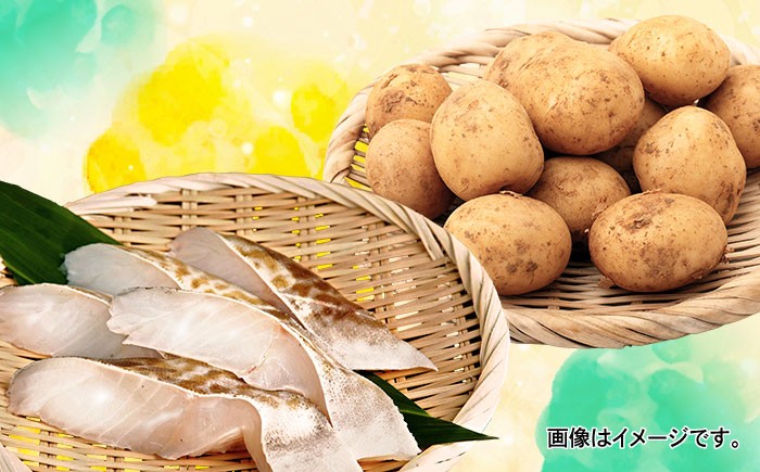 タラとジャガイモのグラタン (4人前) グラタン 冷凍 簡単 惣菜 ギフト 人気 美味しい 家族 夕食 簡単 レシピ 洋食 具材