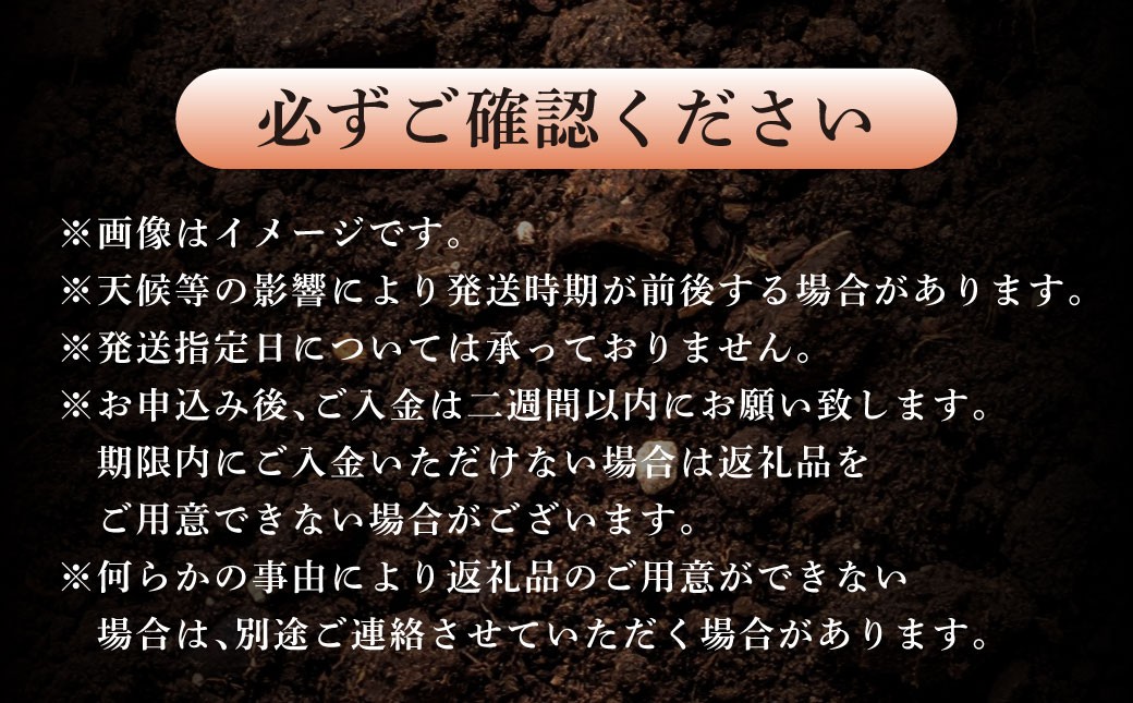 大玉西瓜（1玉入り）8kg以上 すいか スイカ