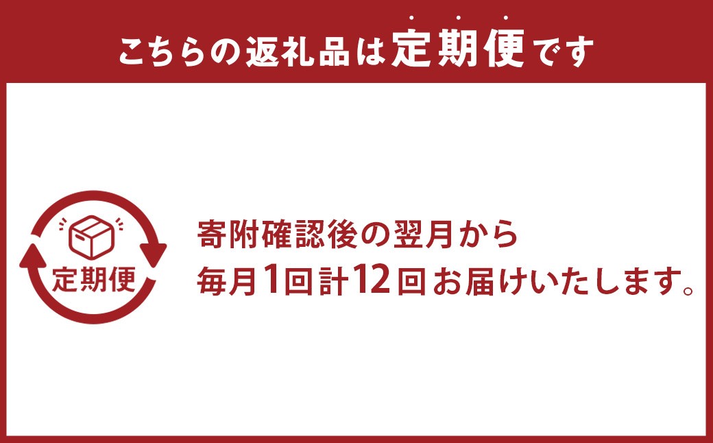 【全12回定期便】 おまかせフラワーアレンジメント 【L】 長崎県産 お花 花 ギフト
