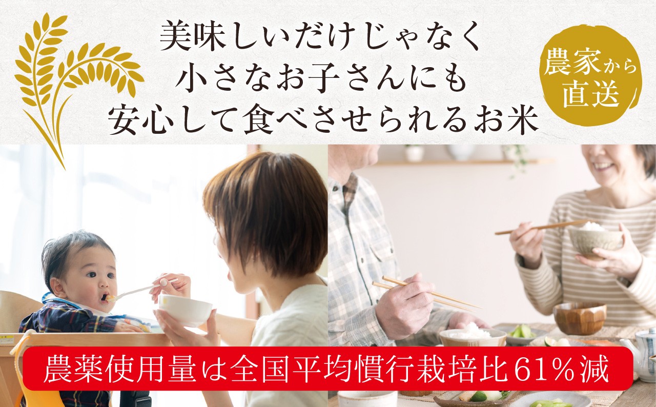 伊那谷の山間の中、左手には天竜川が流れ、稲穂が金色に実った田んぼ