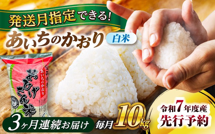 米 お米 10kg 10キロ 定期便 白米 精米 新米 愛知県 あいちのかおり