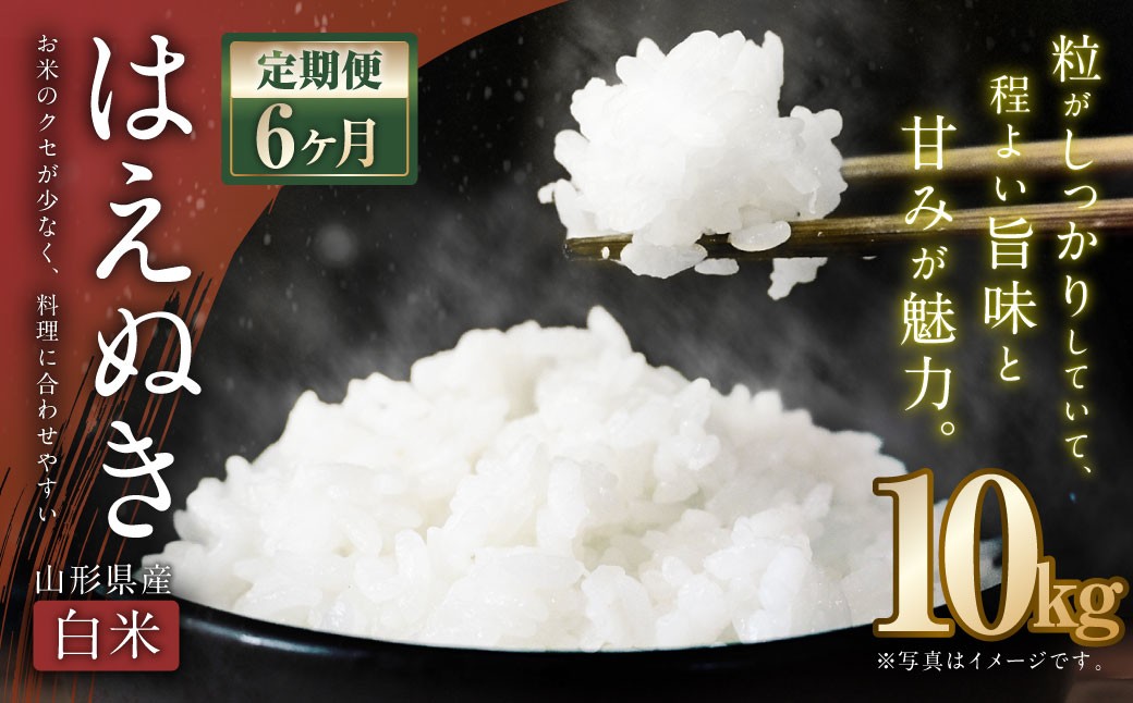 【6ヶ月定期便】【令和7年産新米】〈 白米 〉 はえぬき 10kg