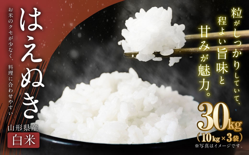 【令和7年産新米】〈白米〉はえぬき 30kg