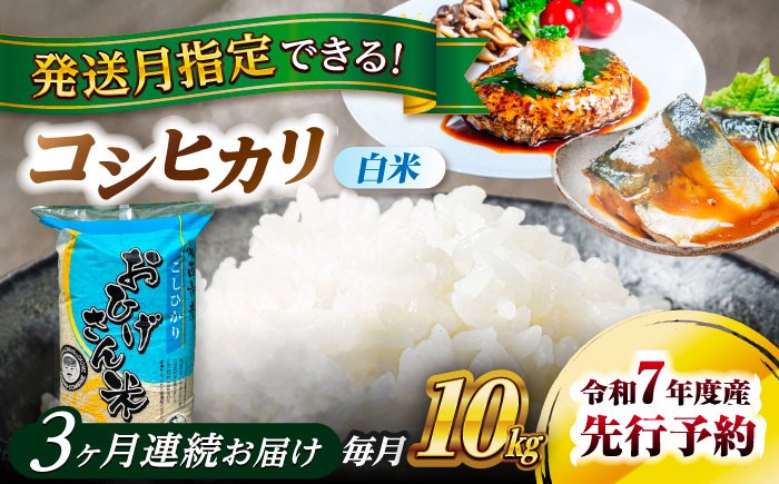 米 お米 10kg 10キロ 定期便 白米 精米 新米 愛知県 国産 コシヒカリ