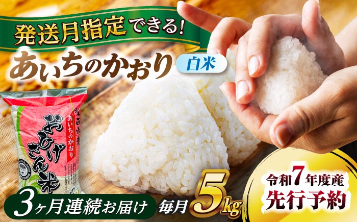 米 お米 5kg 5キロ 定期便 白米 精米 新米 愛知県 国産 あいちのかおり