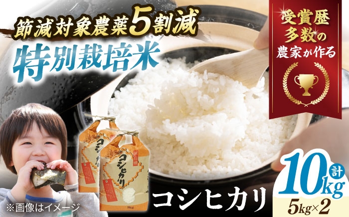 コシヒカリ こしひかり 米 お米 白米 10kg 10キロ ご飯 白飯 国産 精米 粘り 甘い おいしいお米 おにぎり こだわり