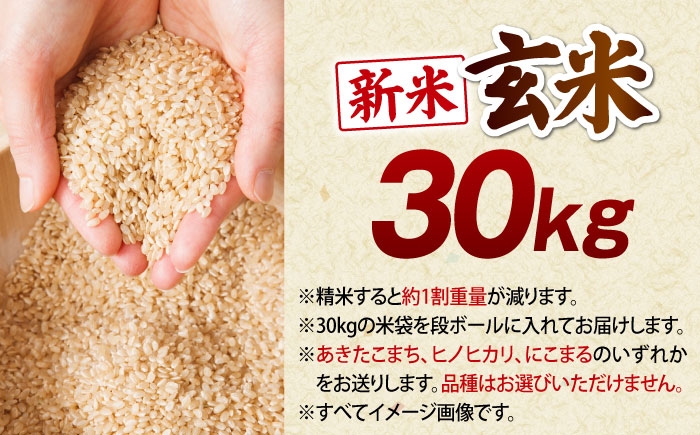 玄米 30kg お米 おこめ 米 コメ ご飯 ごはん おにぎり おむすび お弁当  農家直送 産地直送