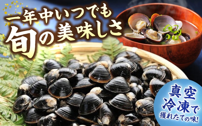 しじみ シジミ 蜆 しじみ汁 味噌汁 みそ汁 魚介類 貝 冷凍 定期便