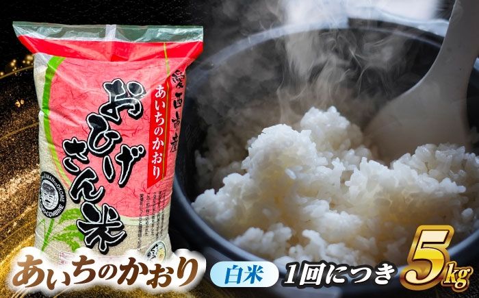 米 お米 5kg 5キロ 定期便 白米 精米 新米 愛知県 国産 あいちのかおり