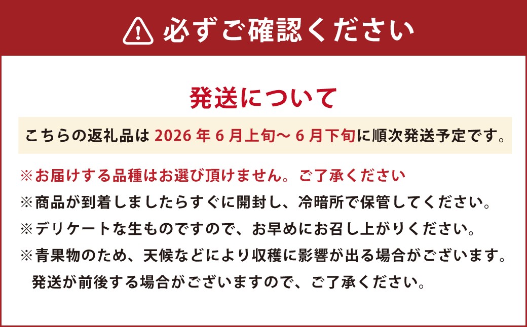 熊本県産 小玉すいか＆肥後グリーンメロン