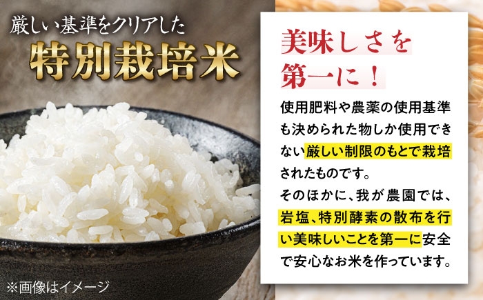 コシヒカリ こしひかり 米 お米 白米 10kg 10キロ ご飯 白飯 国産 精米 粘り 甘い おいしいお米 おにぎり こだわり