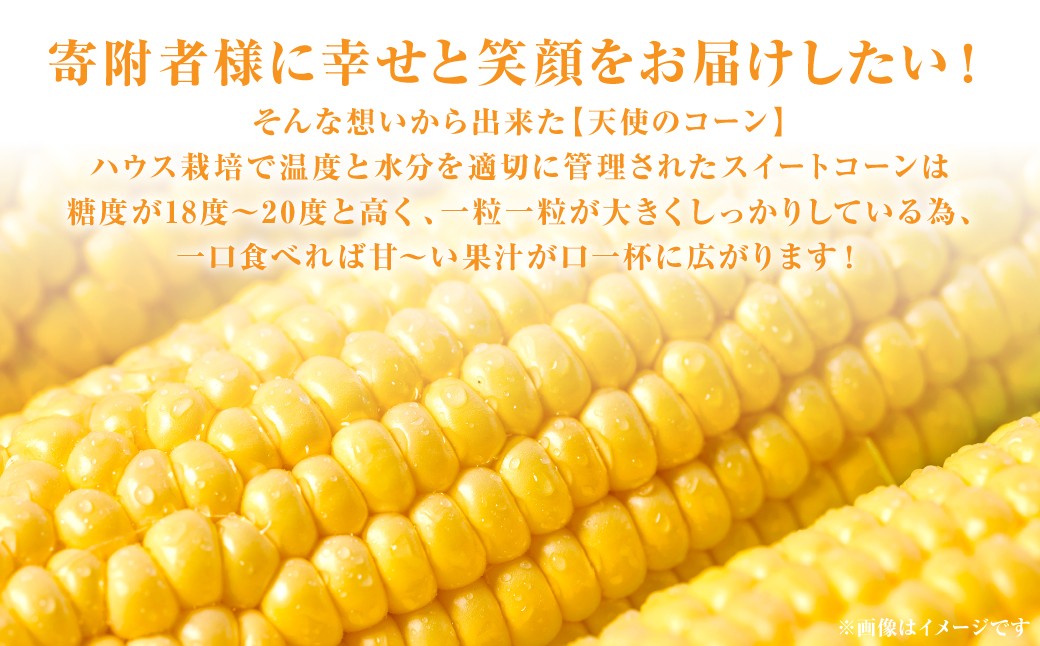 寄附者様に幸せと笑顔をお届けしたい！