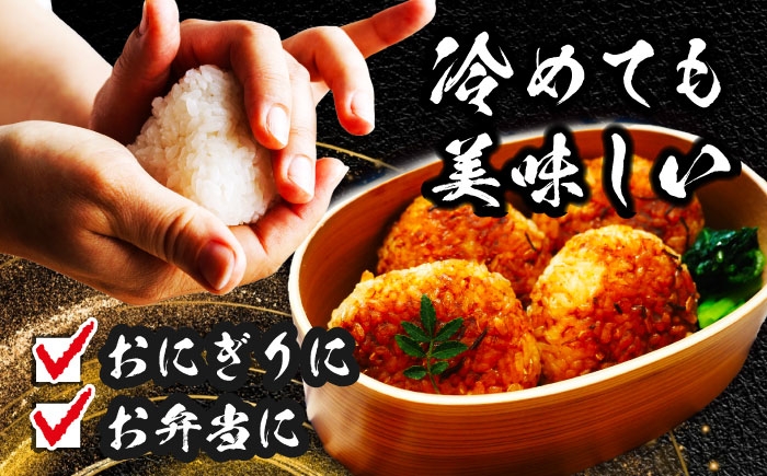 米 お米 5kg 5キロ 定期便 白米 精米 新米 愛知県 国産 あいちのかおり