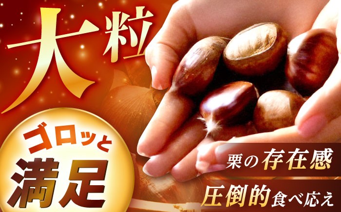  栗 冷凍 生栗 くり むき栗 マロン 低温熟成 日本栗 国産 岐阜県 恵那市産 産地直送 送料無料 お取り寄せ ギフト 贈答 