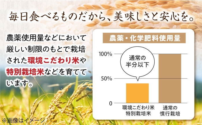 ミルキークイーン 米 お米 白米 15kg ご飯 白飯 国産 精米 おいしいお米 おにぎり こだわり 新米 冷めても美味しい