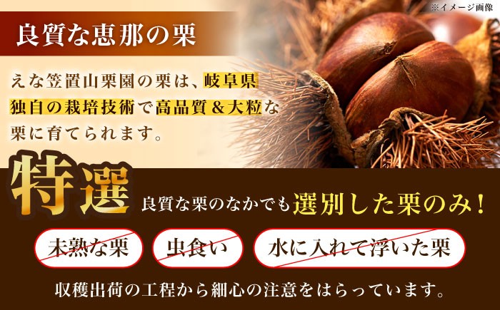  栗 冷凍 生栗 くり むき栗 マロン 低温熟成 日本栗 国産 岐阜県 恵那市産 産地直送 送料無料 お取り寄せ ギフト 贈答 