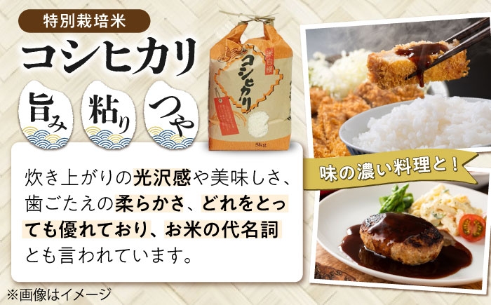 こしひかり 米 お米 白米 15kg 15キロ おこめ ご飯 白飯 国産 精米 おいしいお米 おにぎり こだわり 新米