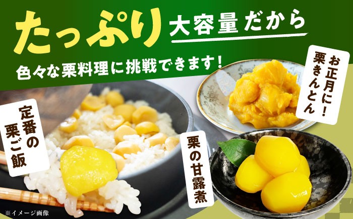  栗 冷凍 生栗 くり むき栗 マロン 低温熟成 日本栗 国産 岐阜県 恵那市産 産地直送 送料無料 お取り寄せ ギフト 贈答 