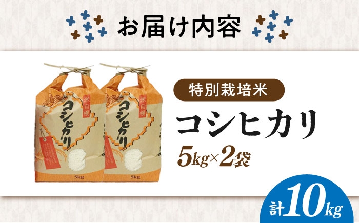 コシヒカリ こしひかり 米 お米 白米 10kg 10キロ ご飯 白飯 国産 精米 粘り 甘い おいしいお米 おにぎり こだわり
